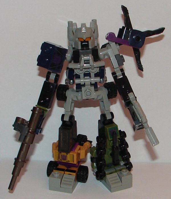 tfkreomccbruticus10