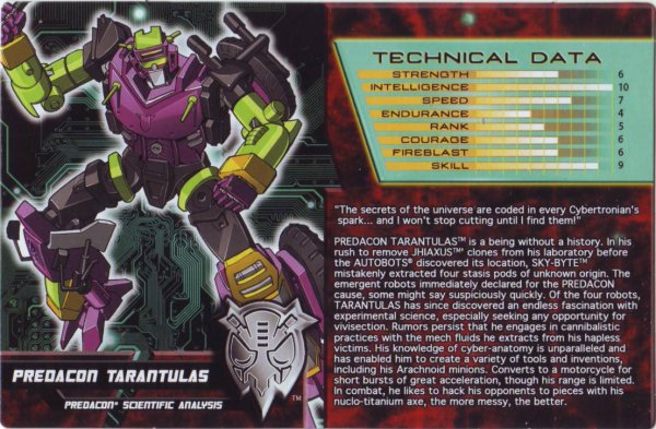 bcss2015-tarantulas-1