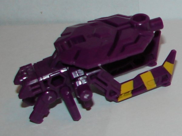 bcss2015-tarantulas-2