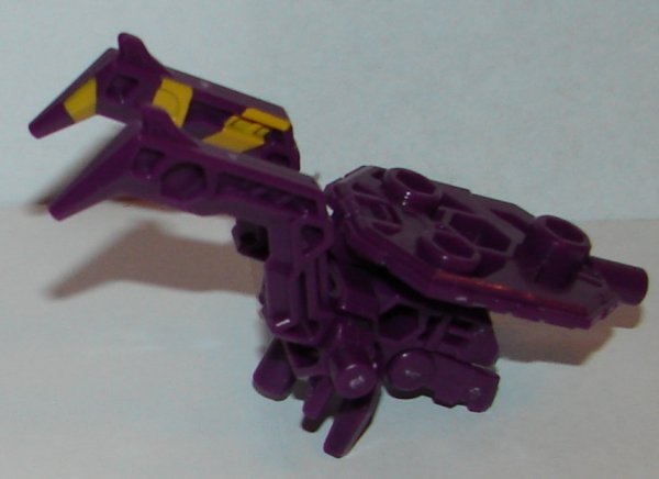 bcss2015-tarantulas-3