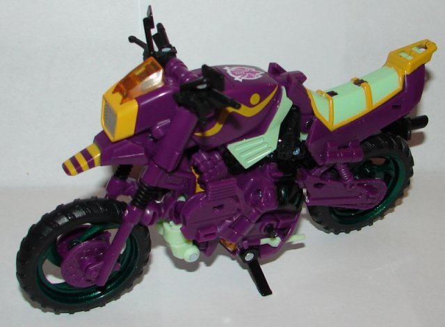 bcss2015-tarantulas-4