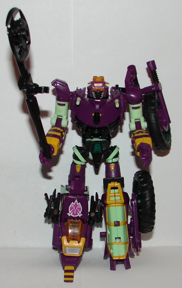 bcss2015-tarantulas-5