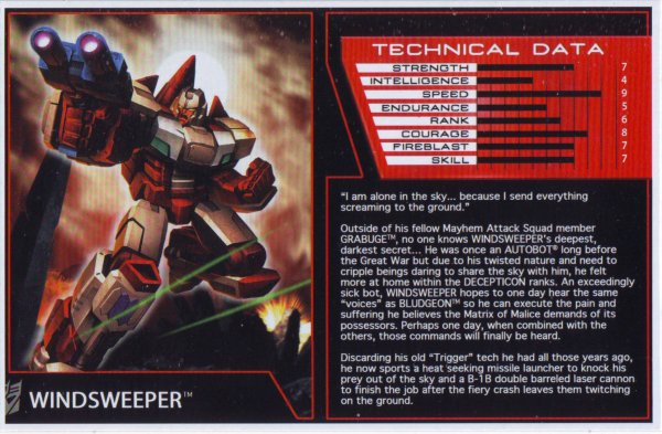 tfbcss2016-windsweeper-01